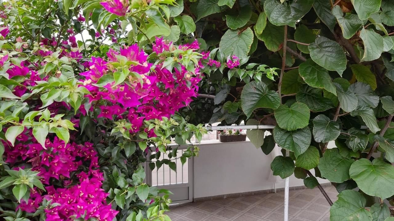 לומבארדה Studio Apartman Kornelija מראה חיצוני תמונה